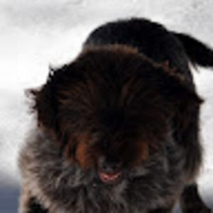 Meet your Posher, Evelyn